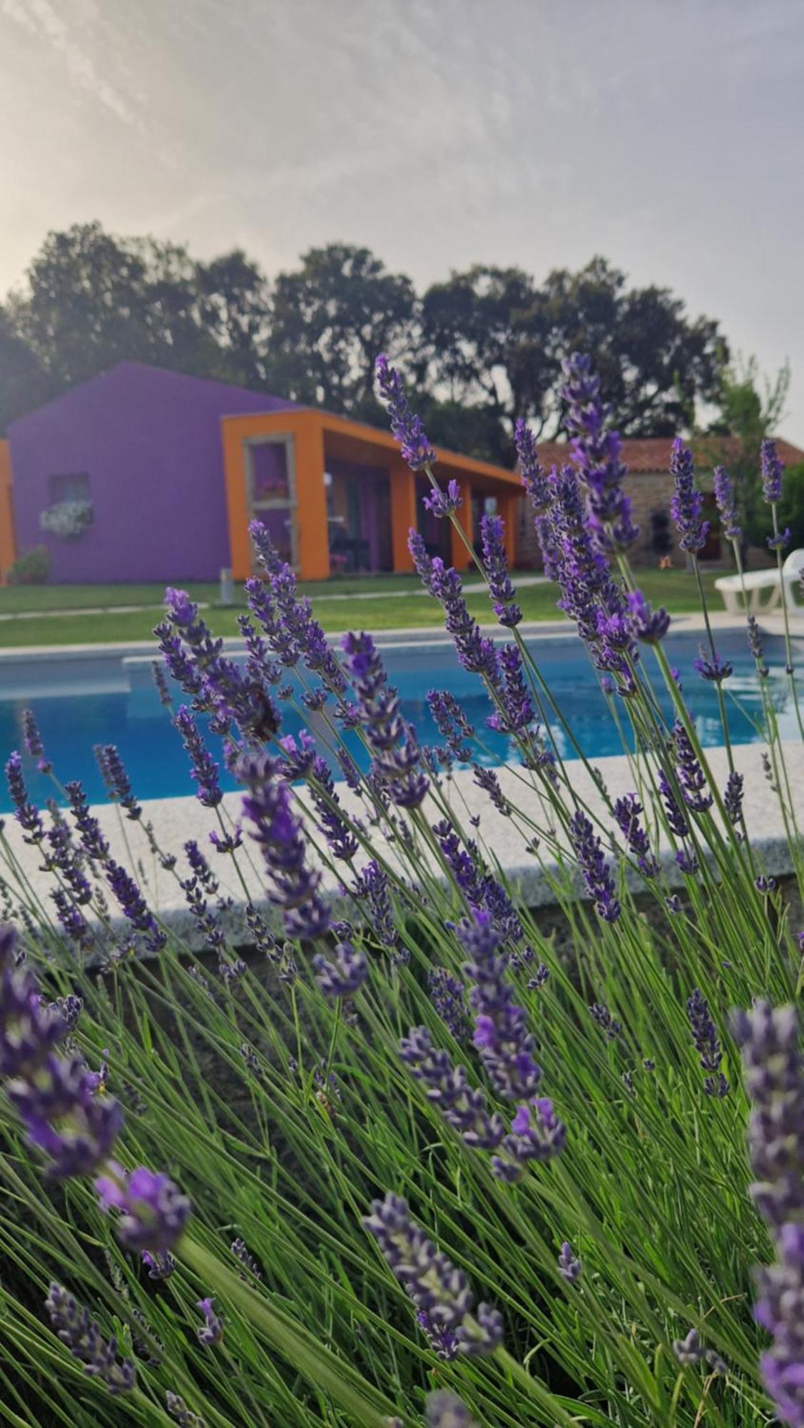 Limbara dreaming Hotel Tempio Pausania Exterior foto