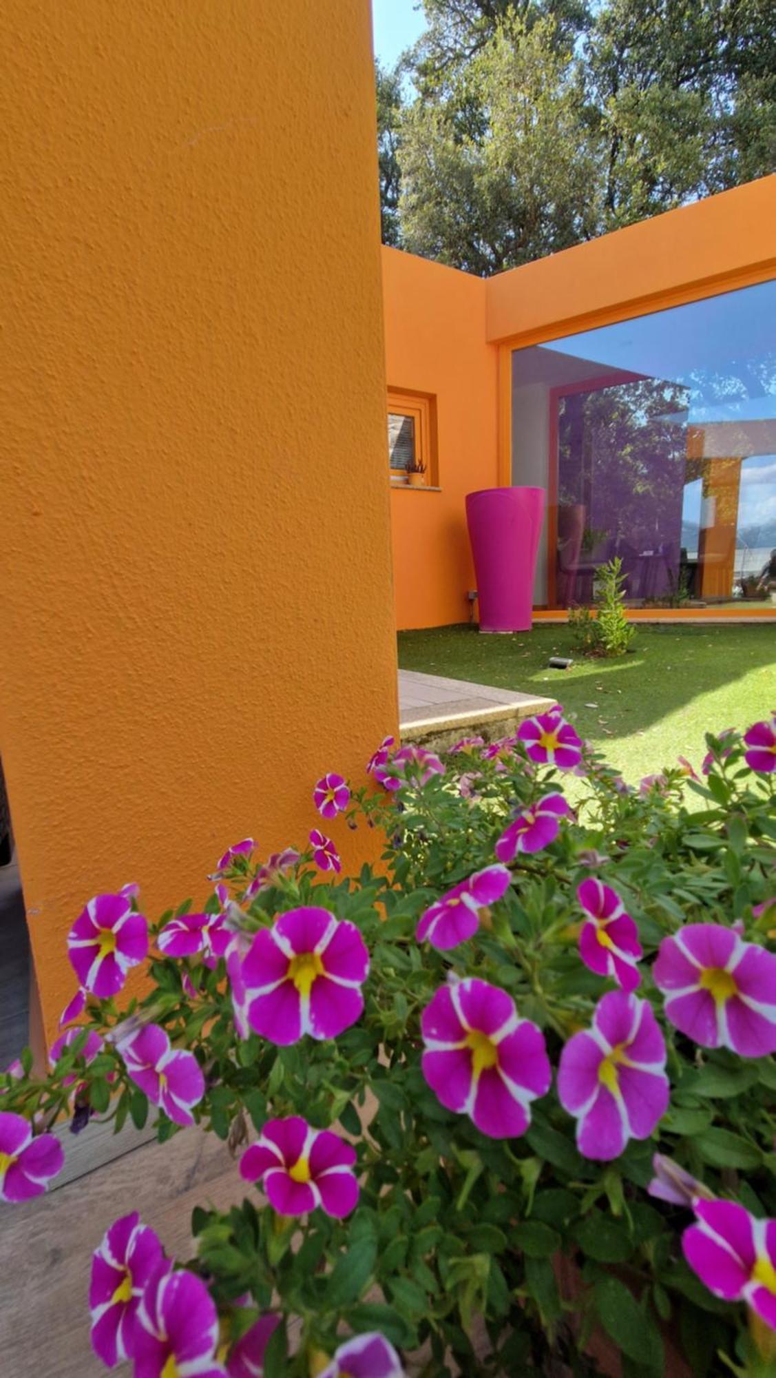 Limbara dreaming Hotel Tempio Pausania Exterior foto